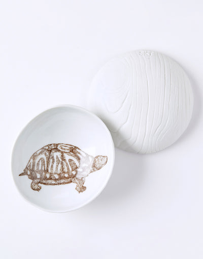 SKT CERAMICS Ceramic Catch All Box Turtle