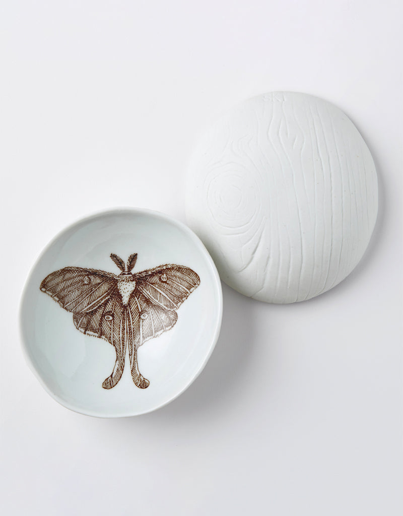 SKT CERAMICS Ceramic Catch All Luna Moth