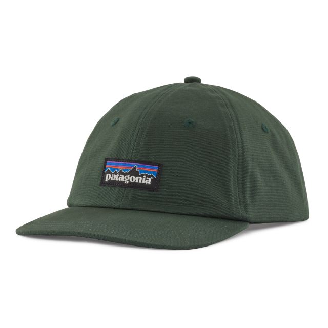 PATAGONIA P-6 Label Trad Cap Pinyon Green PIGN