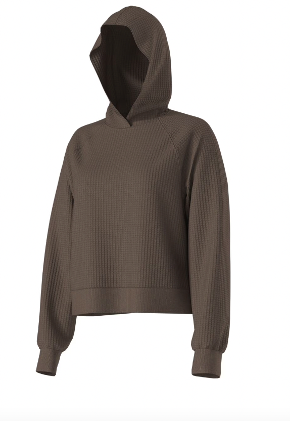 THE NORTH FACE Women's Chabot Hoodie Smokey Brown