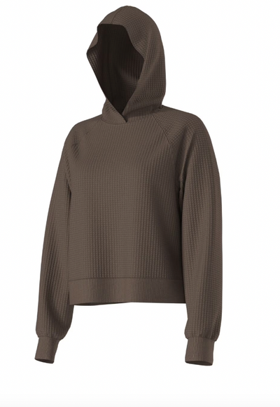 THE NORTH FACE Women's Chabot Hoodie Smokey Brown