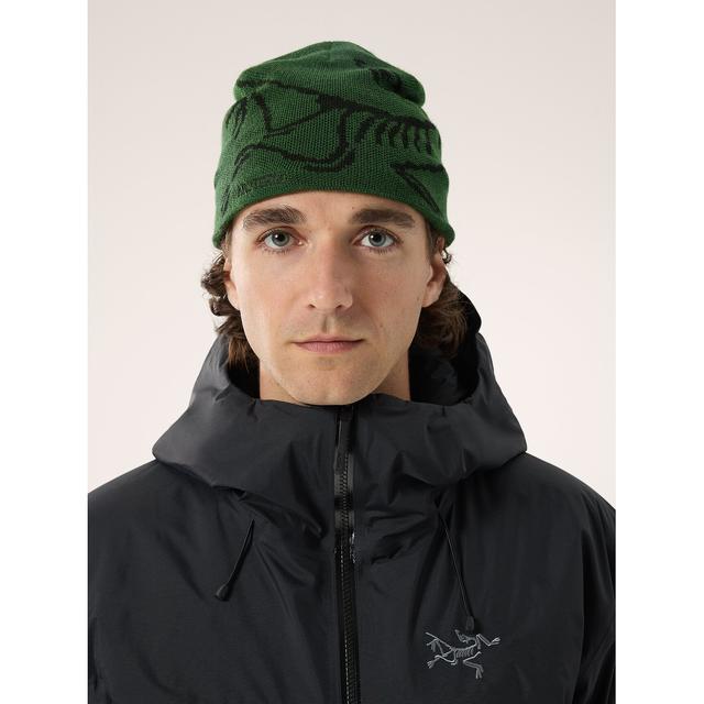 ARCTERYX Bird Head Toque Eden/Black